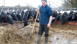 Fodder crisis: ‘I didn’t sleep for 48 hours’ reveals Limerick farmer 