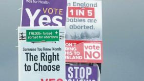 Referendum 2018: 139,000 eligible to cast votes in Limerick