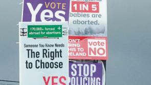 Limerick council confirms all referendum posters removed on time