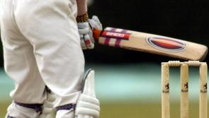 Limerick Cricket Club's season ends with final day defeats