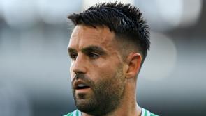Conor Murray says New Zealand-born trio ‘so important’ to Ireland World Cup bid