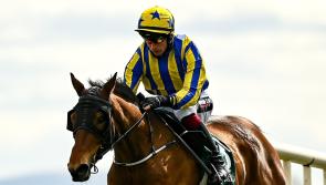 Star-studded entry list for JT McNamara Ladbrokes Munster National at Limerick