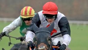 Bumper spell of success for local horse racing connections