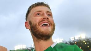 Limerick hurling star Seamus Flanagan helps Castlemahon reach Munster semi-final