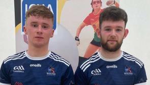 UL Wolves Handball Club strike gold in four grades in Galway