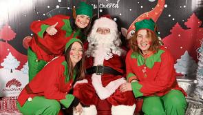 Limerick city market gears up to share festive cheer