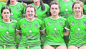 Resilient Limerick book All-Ireland senior camogie quarter-final spot