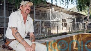 Tiger King star Joe Exotic sentenced to over twenty years in prison