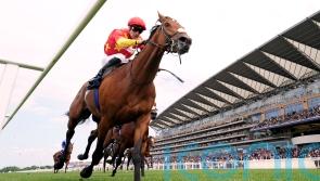 Royal Ascot day two – in pictures