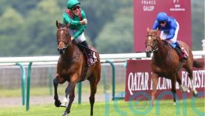 Vadeni, Native Trail, Mishriff and more all set for Eclipse to savour