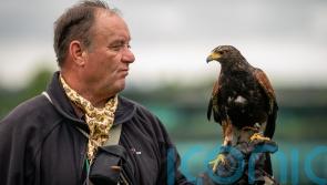 Wimbledon hawk trainer was told to ‘get a proper job’ in early days
