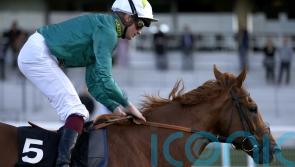 Scope put down after gallops accident