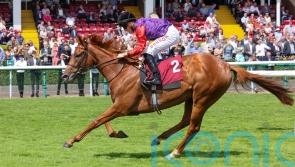 Desert Hero earns Derby quotes with victory at Haydock