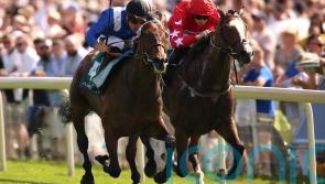 Anmaat is John Smith’s Cup hero on seasonal return