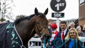 Irish Oaks plan shelved for Rogue Millennium with Goodwood or Deauville on the horizon