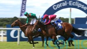 Irish Champion remains the number one focus for Vadeni