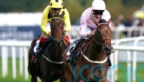 Polly Pott shocks big guns in May Hill