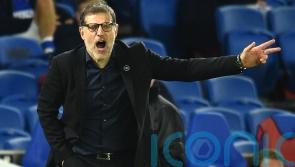 Watford appoint Slaven Bilic as manager after sacking Rob Edwards