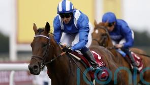 Baaeed’s younger sibling to be out this year