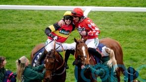 Cheltenham run key to Knight Salute campaign