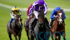 O’Brien full of praise for Breeders’ Cup-bound Blackbeard