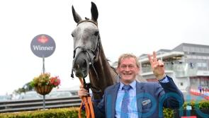 We’ve had three wonderful years with her – Tony Mullins pays tribute to Princess Zoe