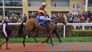 Harris sets out Elite aim for Knight Salute