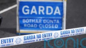Gardai appeal for information about two vehicles in shooting probe