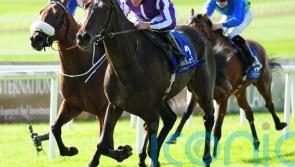 High Definition joins Joseph O’Brien to go hurdling