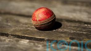 Cricket Scotland to formally investigate 22 allegations of racism after review