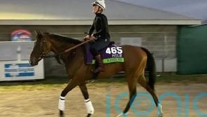 Kinross in good shape, but draw is &lsquo;pain&rsquo; concedes Beckett