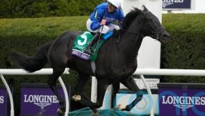 Rebel’s Romance just relentless in Breeders’ Cup Turf