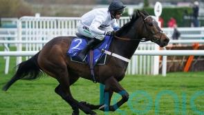 No trip worries for Henderson as Constitution Hill returns