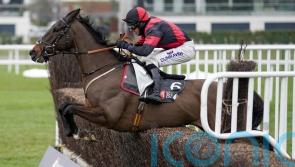 Fergal O’Brien considering his options for Paint The Dream