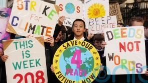 Student climate strikers mark four years of weekly protests outside Dail
