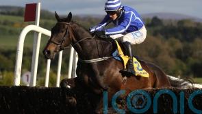 Energumene on course for Cork comeback