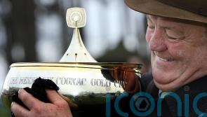 Hourigan looking forward to Limerick&rsquo;s Christmas cards