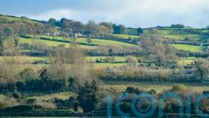 Punchestown&rsquo;s Grade One card called off on Sunday