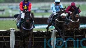 Scott tempted by Stayers’ Hurdle for versatile Dashel Drasher