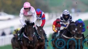 Promising Gentle Slopes suffers season-ending setback