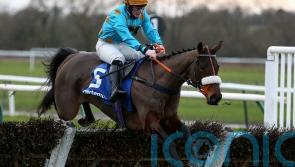 Longsdon delight as Glimpse Of Gala secures Festival ticket