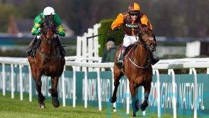 Cotswold Chase target for Lingfield absentee Noble Yeats