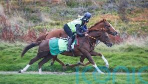 Beep Beep Burrow primed for Doncaster debut