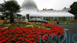 Teenager stabbed in legs and groin at popular tourist attraction in Northern Ireland 