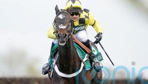 Shishkin ready to step up in Ascot Chase test