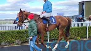 Corbetts Cross claims Grade Two honours in Naas thriller