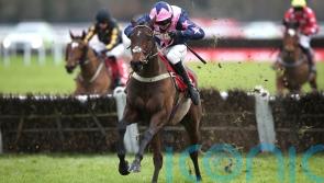 Samuel Spade key part of small but select Cheltenham squad for Pauling