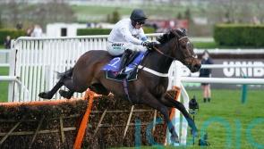 Constitution Hill tops 12 in Champion Hurdle contention