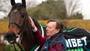 Constitution Hill and Henderson the people’s champs, says Henrietta Knight