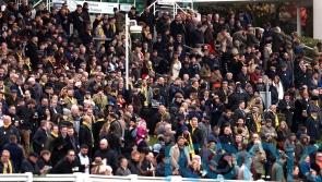 Sandown and Ayr fixtures given go-ahead